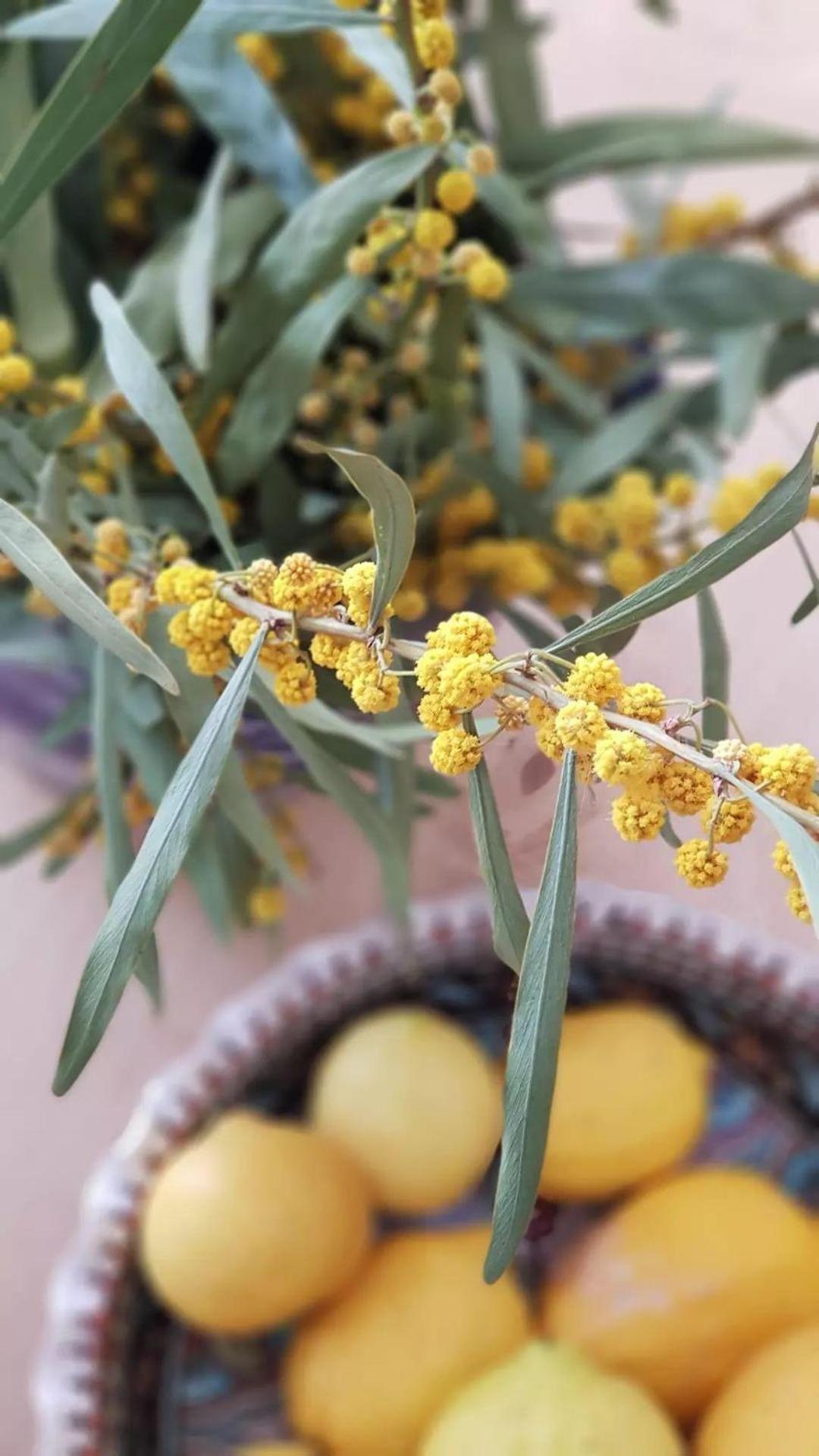 Peremere Alacati Otel Εξωτερικό φωτογραφία