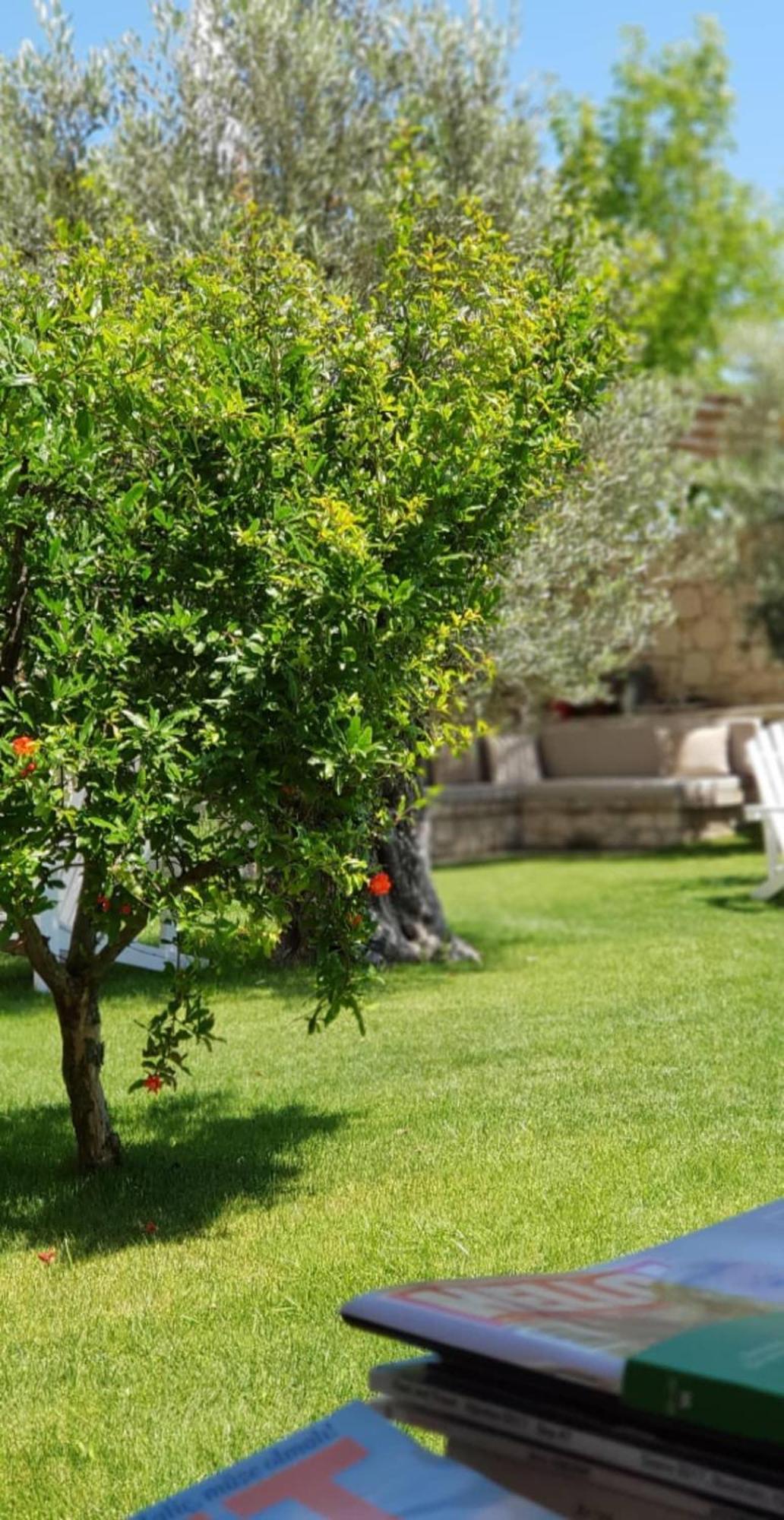 Peremere Alacati Otel Εξωτερικό φωτογραφία